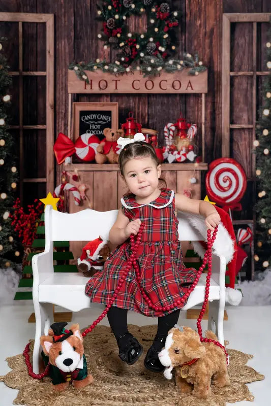 Kate Christmas Hot Cocoa Wooden Winter Backdrop Designed by Emetselch -UK