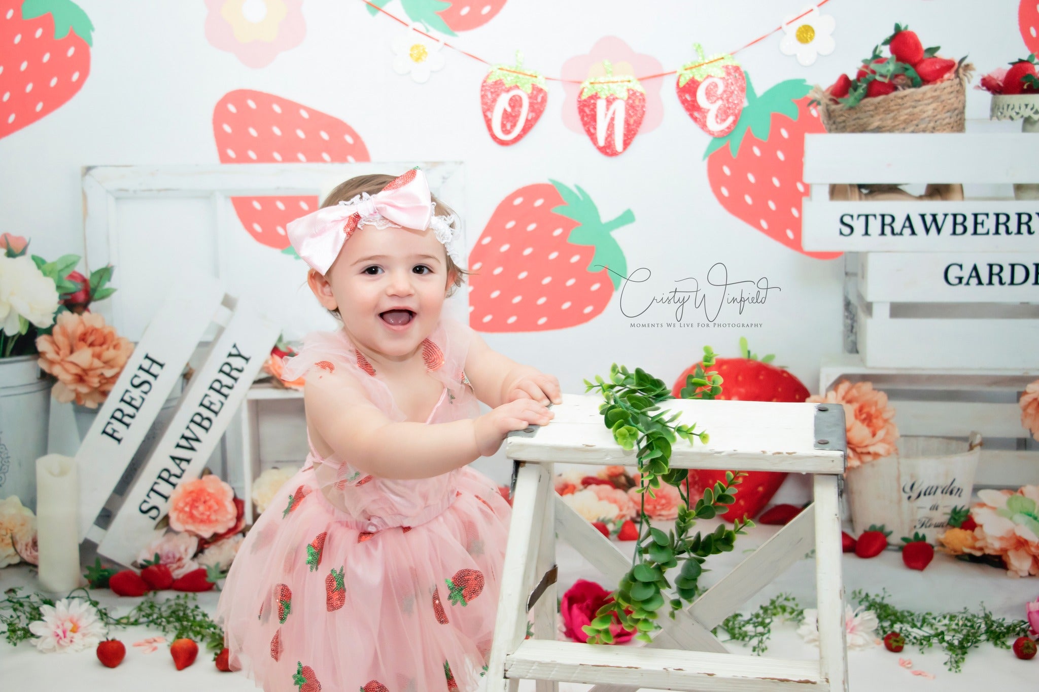 Kate Summer Strawberry Pink Backdrop Designed by Emetselch -UK