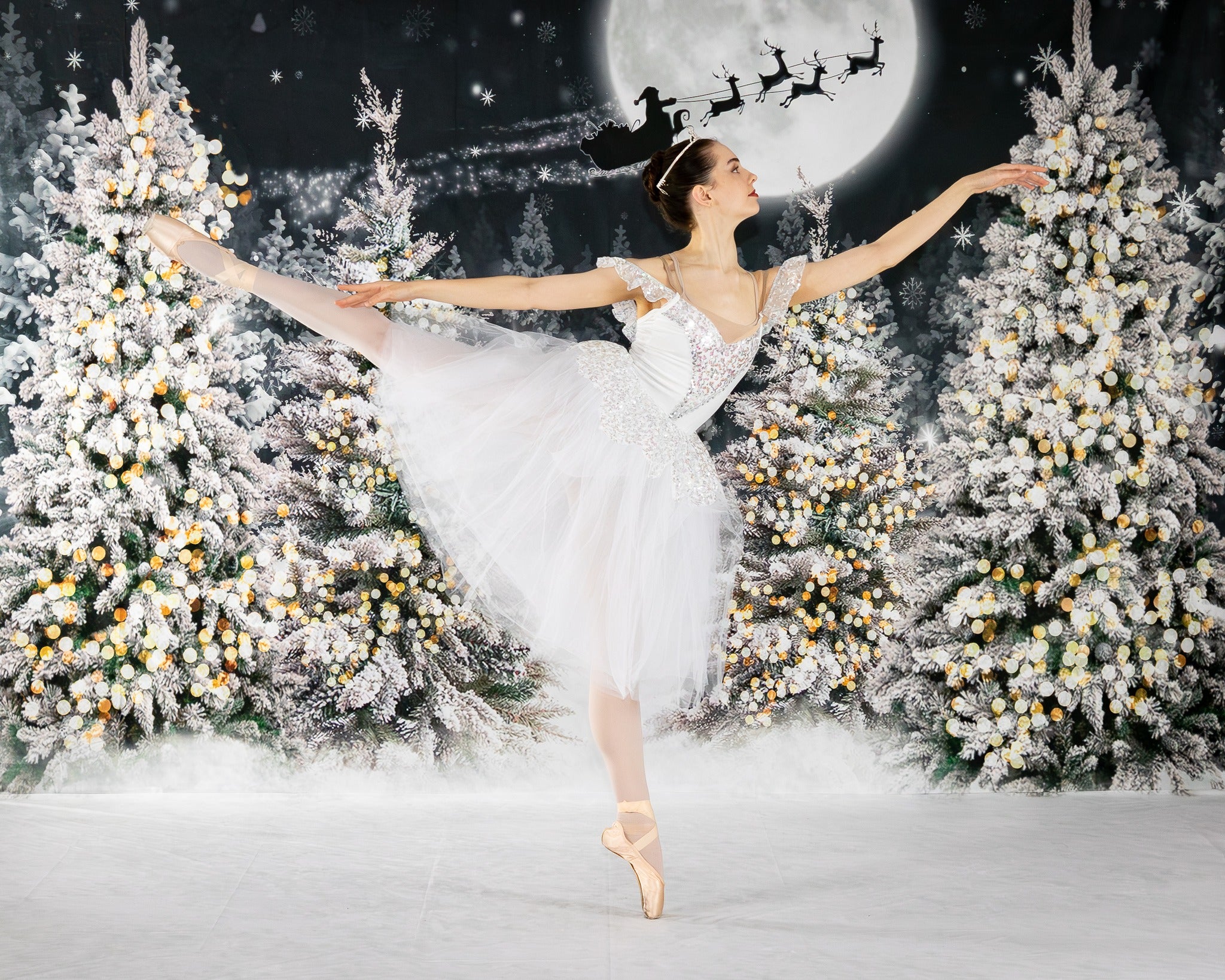 Kate Christmas Night Forest Moon Backdrop for Photography -UK