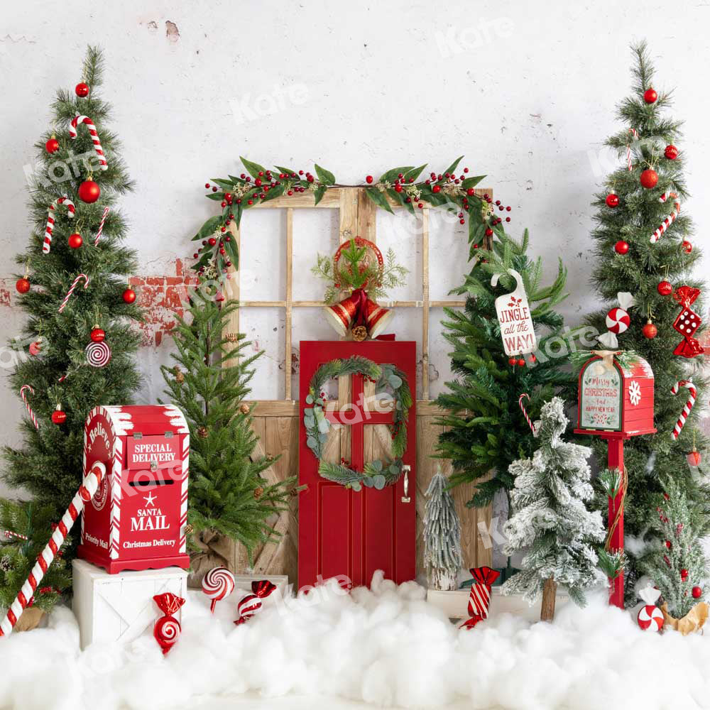 Kate Christmas Backdrop Snow Mailbox Designed by Emetselch -UK