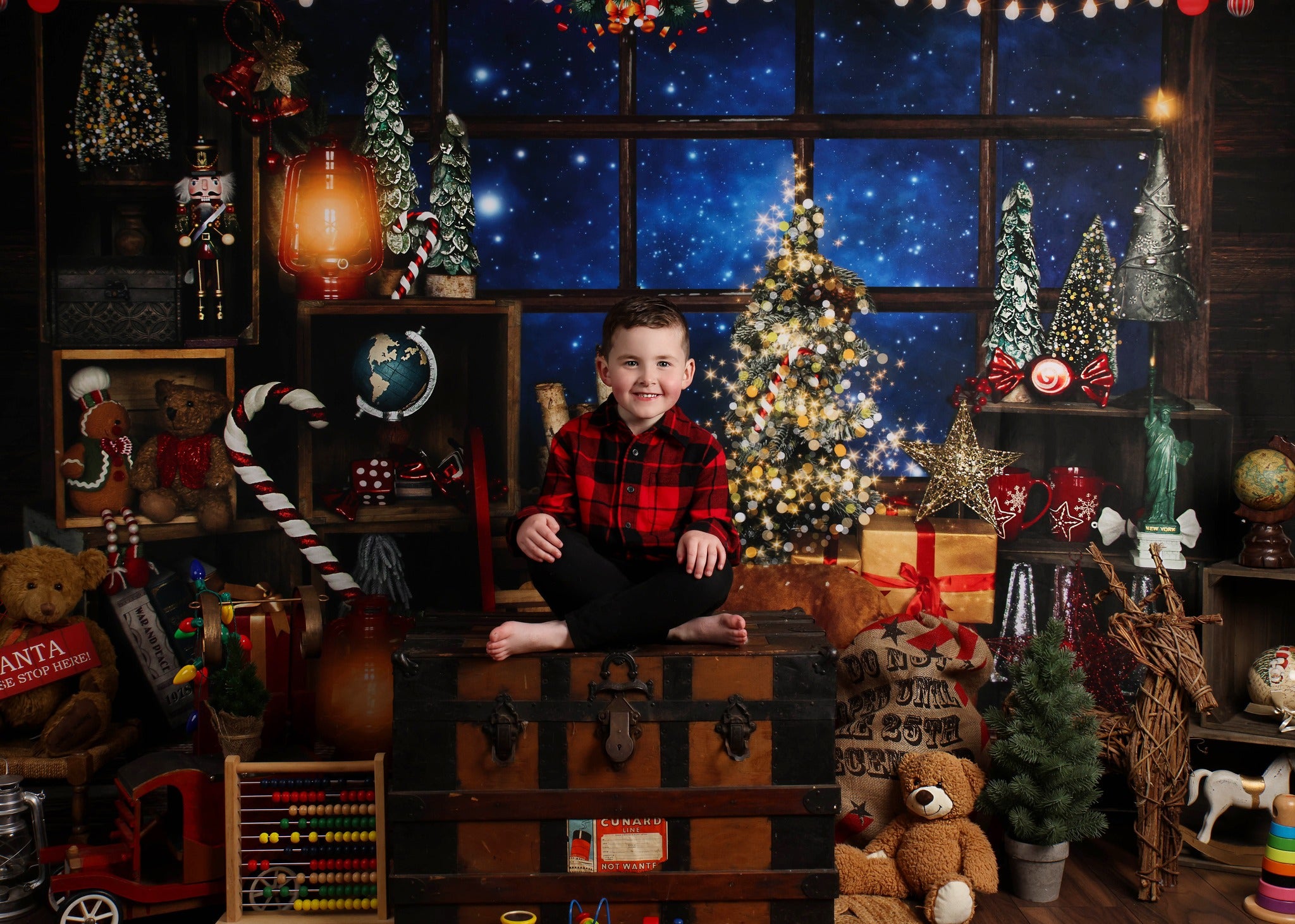 Kate Christmas Window Starry Vintage Backdrop for Photography -UK