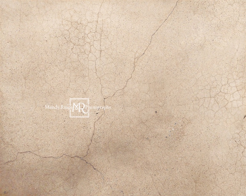 Kate Worn Cracked Terrazzo Backdrop Designed by Mandy Ringe Photography -UK