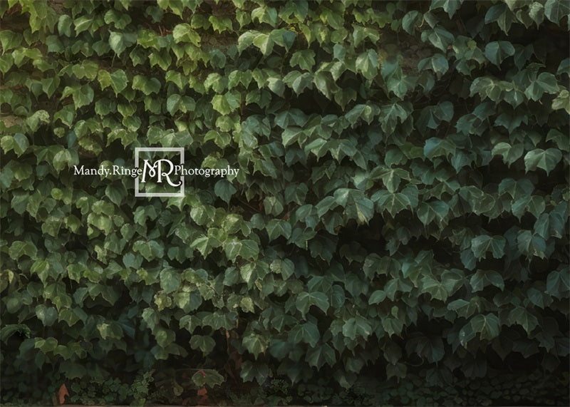 Kate Climbing Ivy Wall Plant Summer Backdrop Designed by Mandy Ringe Photography -UK