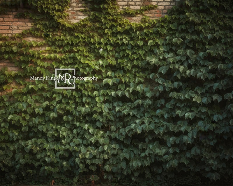 Kate Climbing Ivy Wall Plant Summer Backdrop Designed by Mandy Ringe Photography -UK