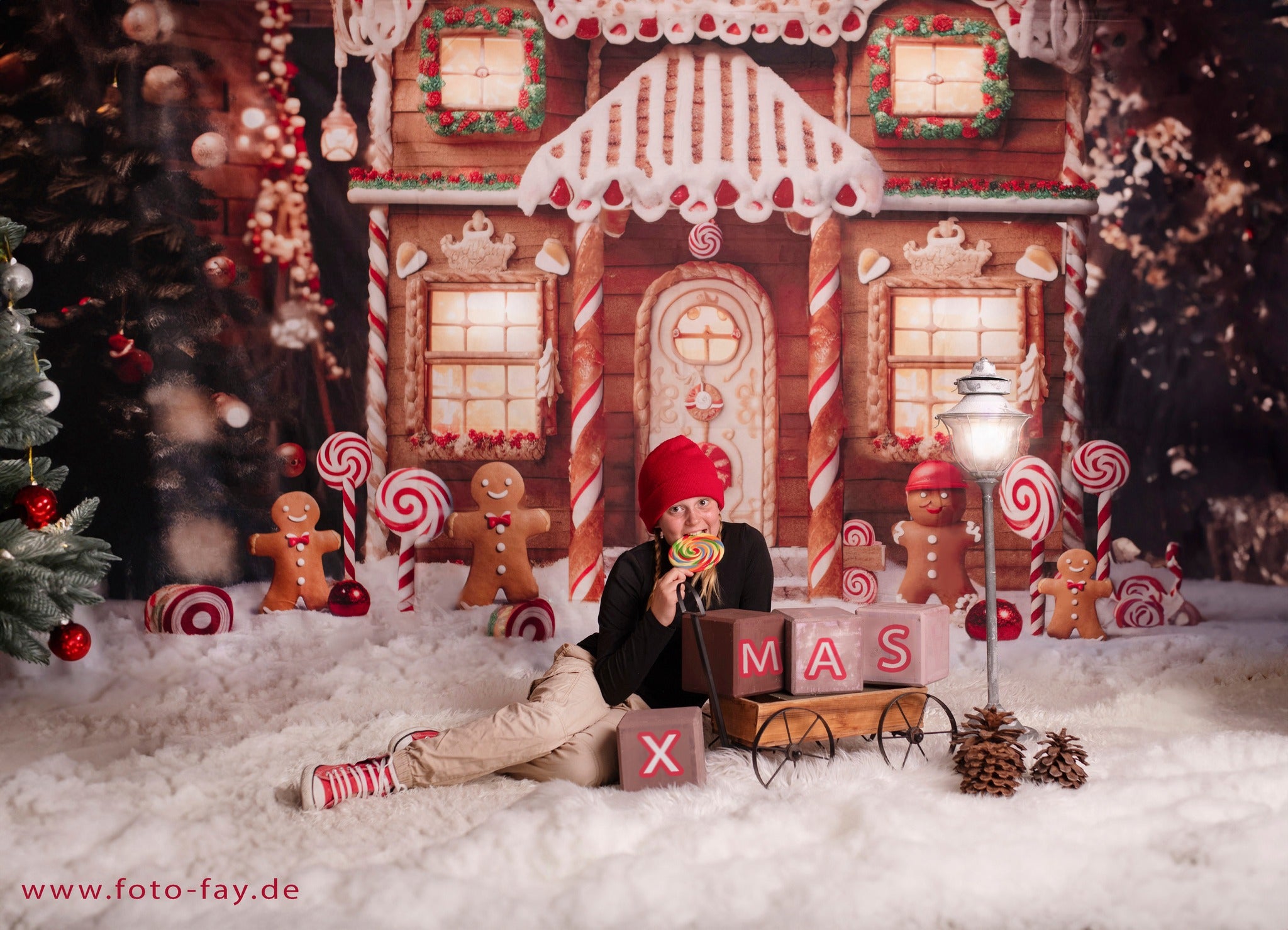 Kate Christmas Winter Gingerbread House Backdrop Designed by Chain Photography