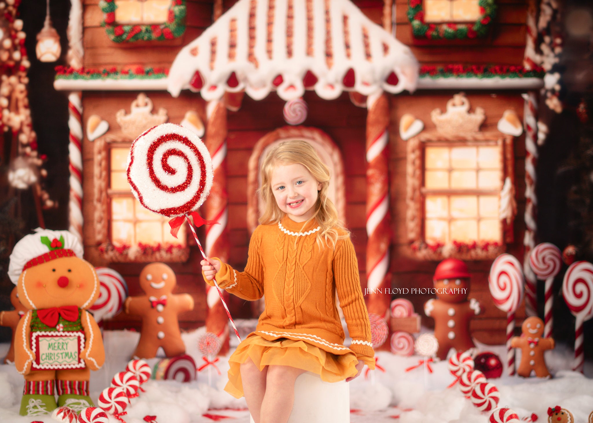 Kate Christmas Winter Gingerbread House Backdrop Designed by Chain Photography