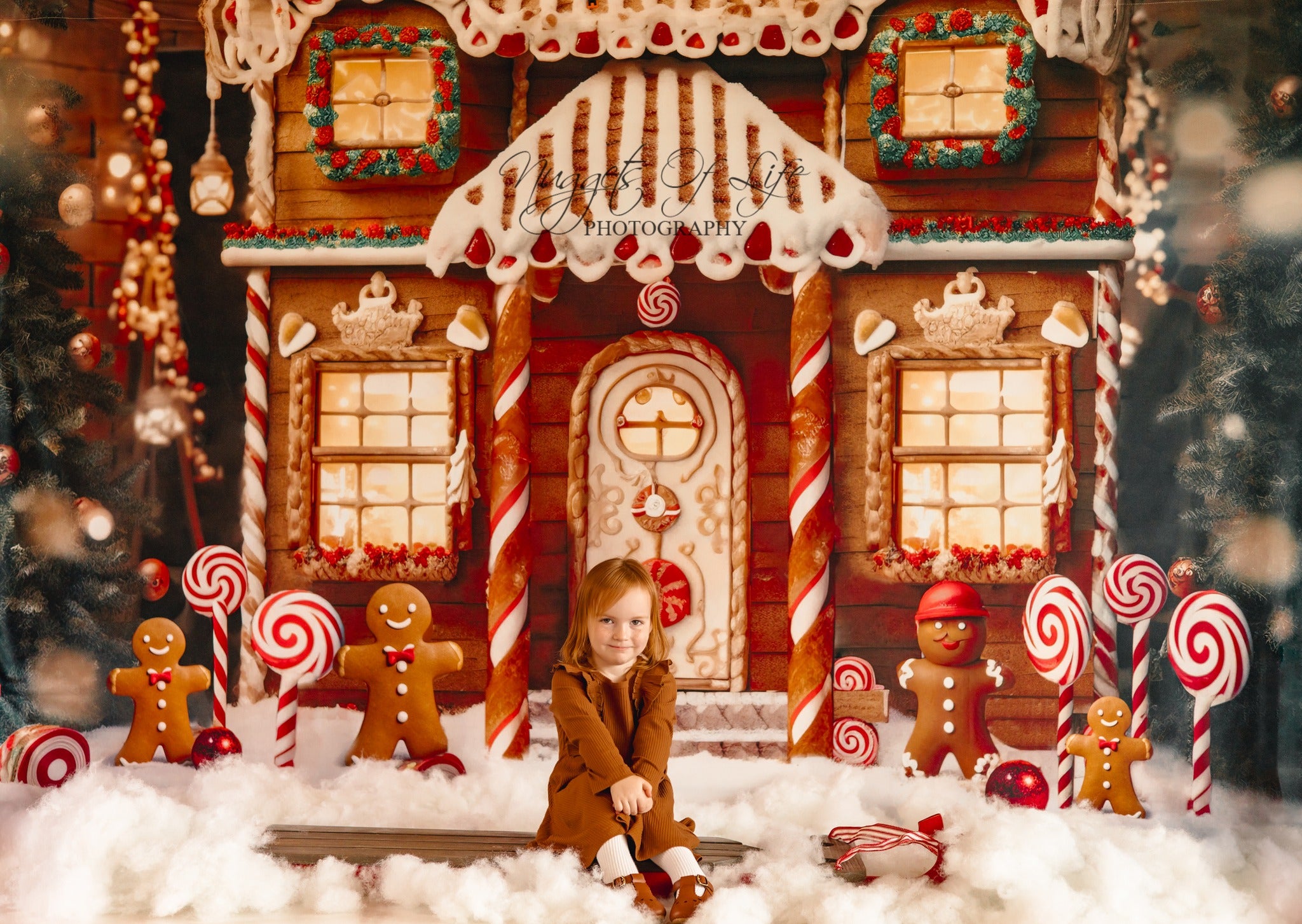 Kate Christmas Winter Gingerbread House Backdrop Designed by Chain Photography -UK