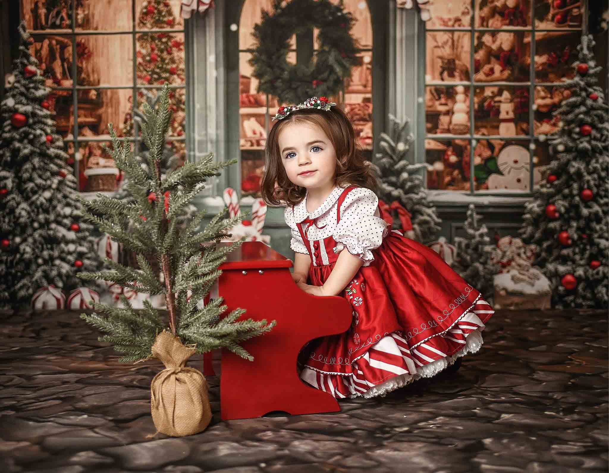 Kate Christmas Gift Store in Snow Fleece Backdrop for Photography -UK