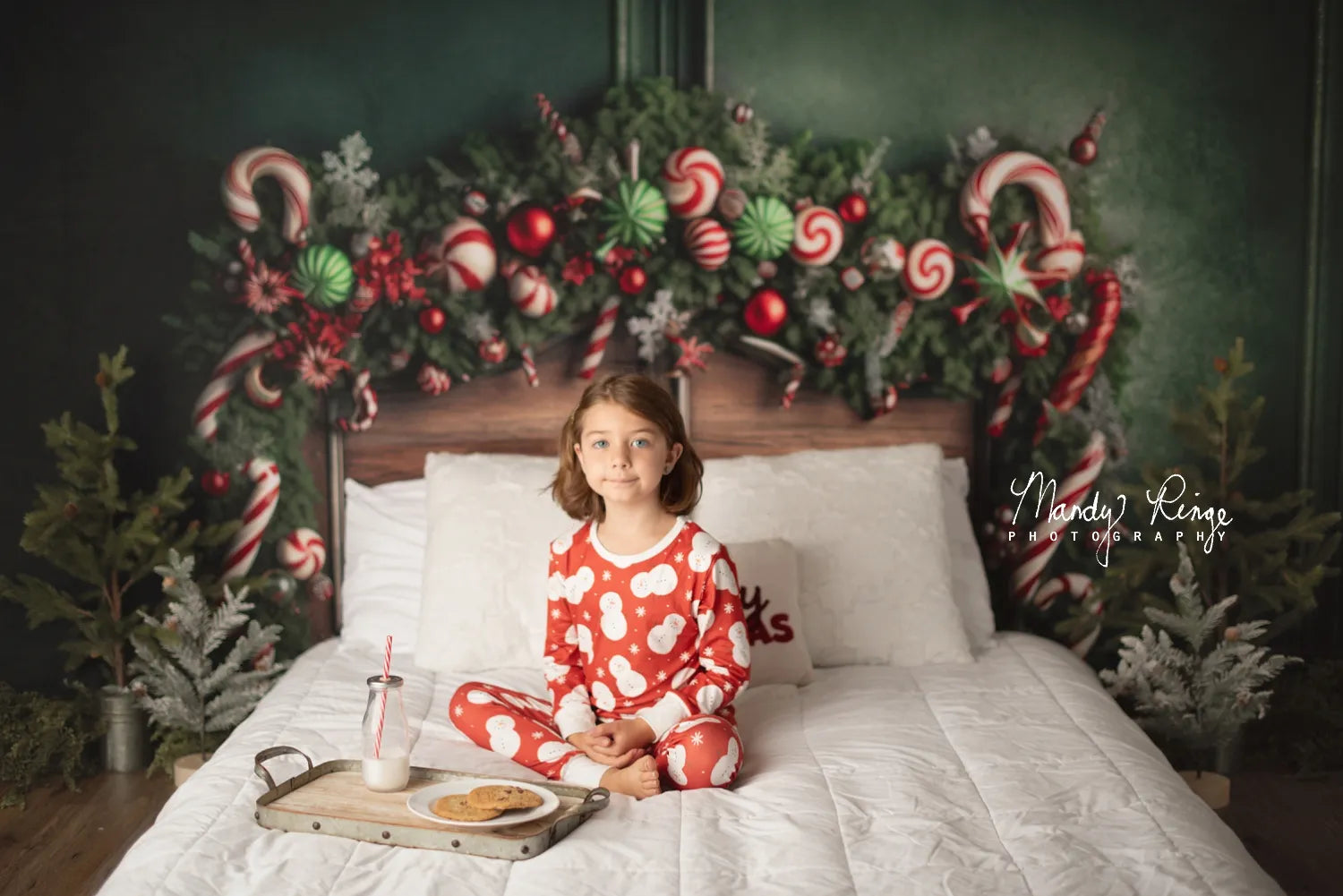 Kate Christmas Candy Cane Headboard Fleece Backdrop Designed by Mandy Ringe Photography -UK