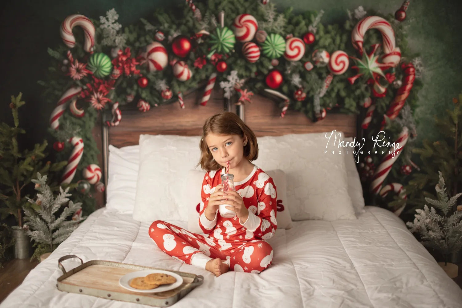 Kate Christmas Candy Cane Headboard Fleece Backdrop Designed by Mandy Ringe Photography