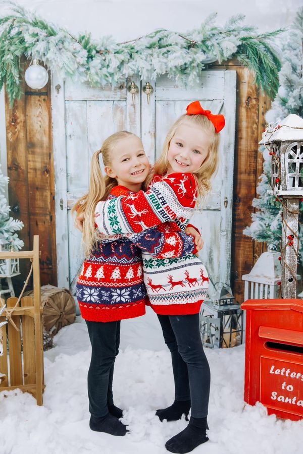 Kate Christmas Barn Door Tree Snow Backdrop Designed by Emetselch -UK