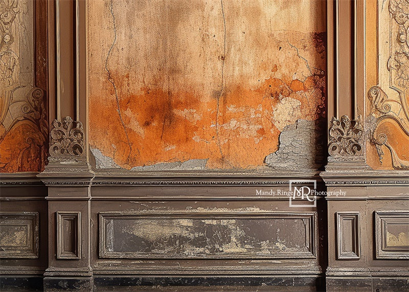 Kate Distressed Victorian Wall Backdrop Designed by Mandy Ringe Photography -UK