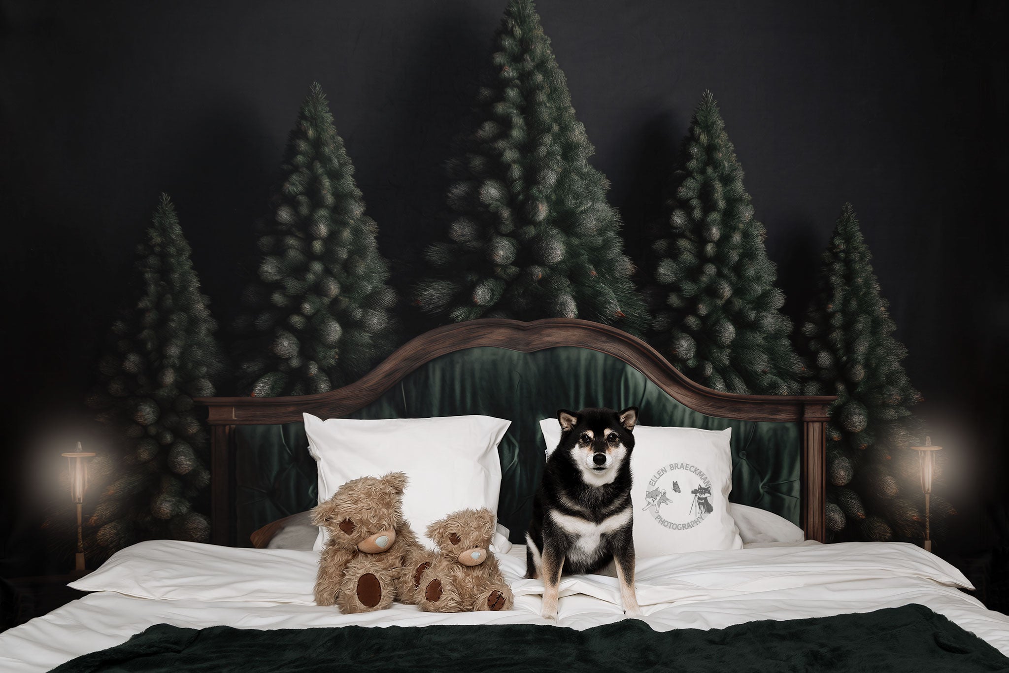 Kate Winter Pine Headboard Backdrop Designed by Mandy Ringe Photography -UK