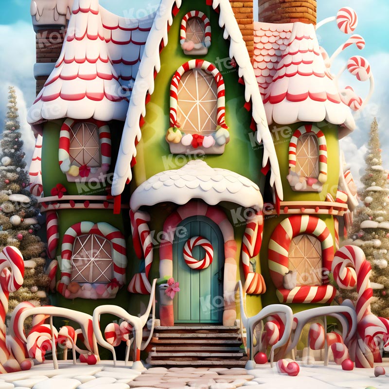 Kate Christmas Winter Amazing House Backdrop for Photography -UK