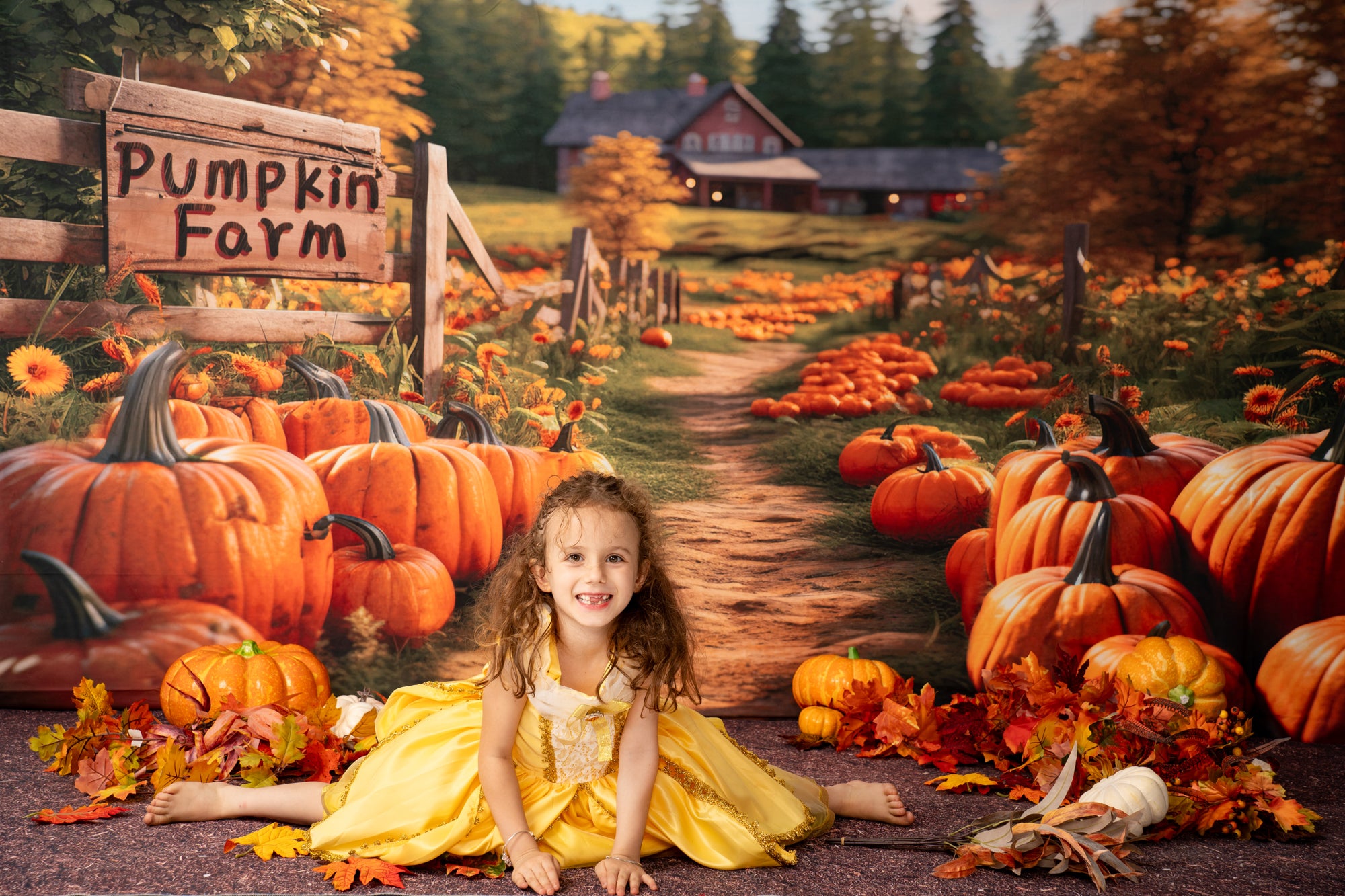 Kate Autumn Pumpkin Farm Backdrop Designed by Emetselch