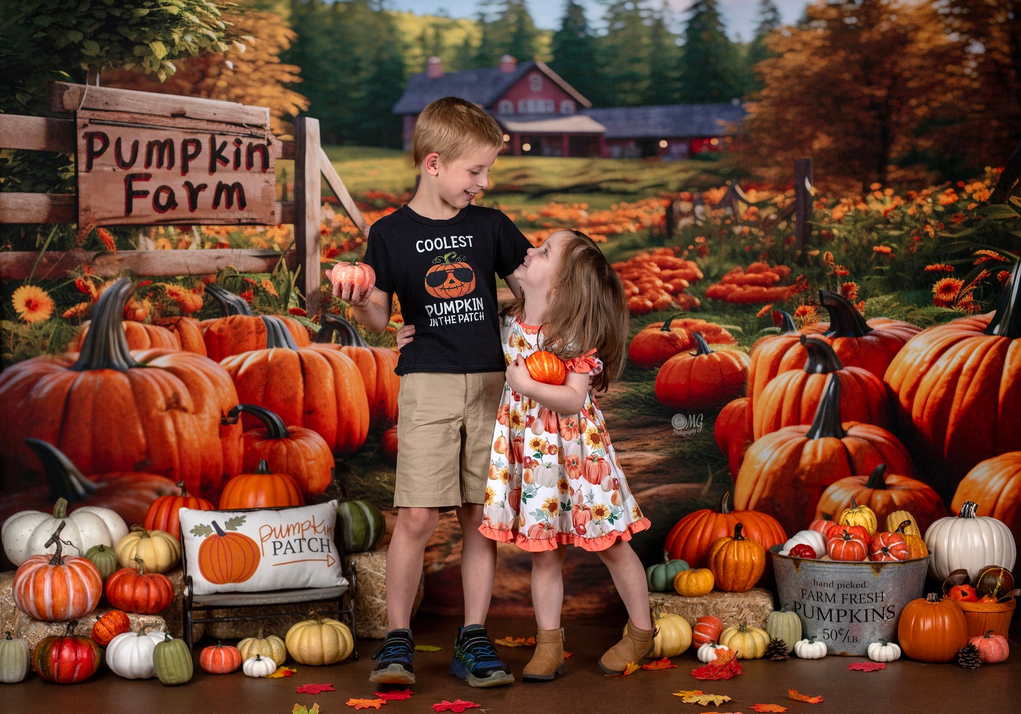Kate Autumn Pumpkin Farm Backdrop Designed by Emetselch -UK