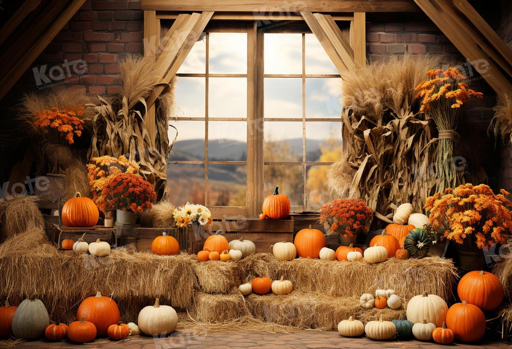 Kate Autumn Pumpkin Barn Backdrop Designed by Emetselch -UK