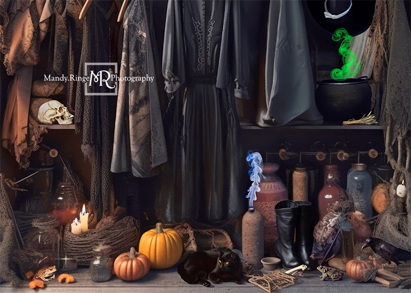 Kate Halloween Witch's Closet Backdrop Designed by Mandy Ringe Photography