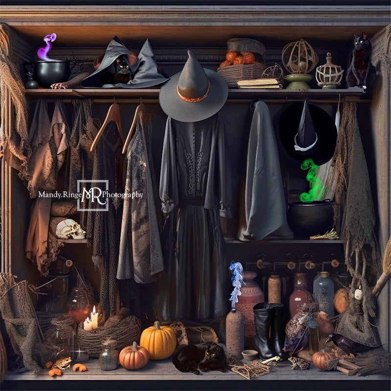 Kate Halloween Witch's Closet Backdrop Designed by Mandy Ringe Photography -UK