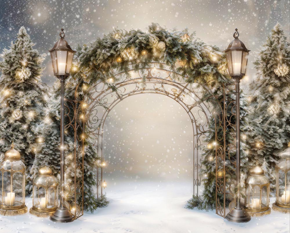 Kate Winter Christmas Branch Arch Backdrop Designed by Emetselch