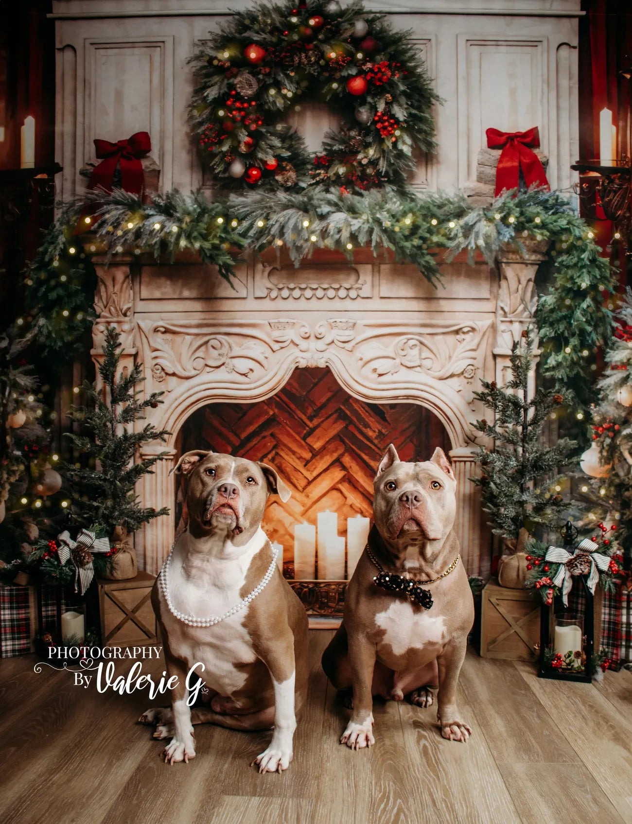 Kate Christmas Tree Fireplace Red Fleece Backdrop Designed by Emetselch -UK