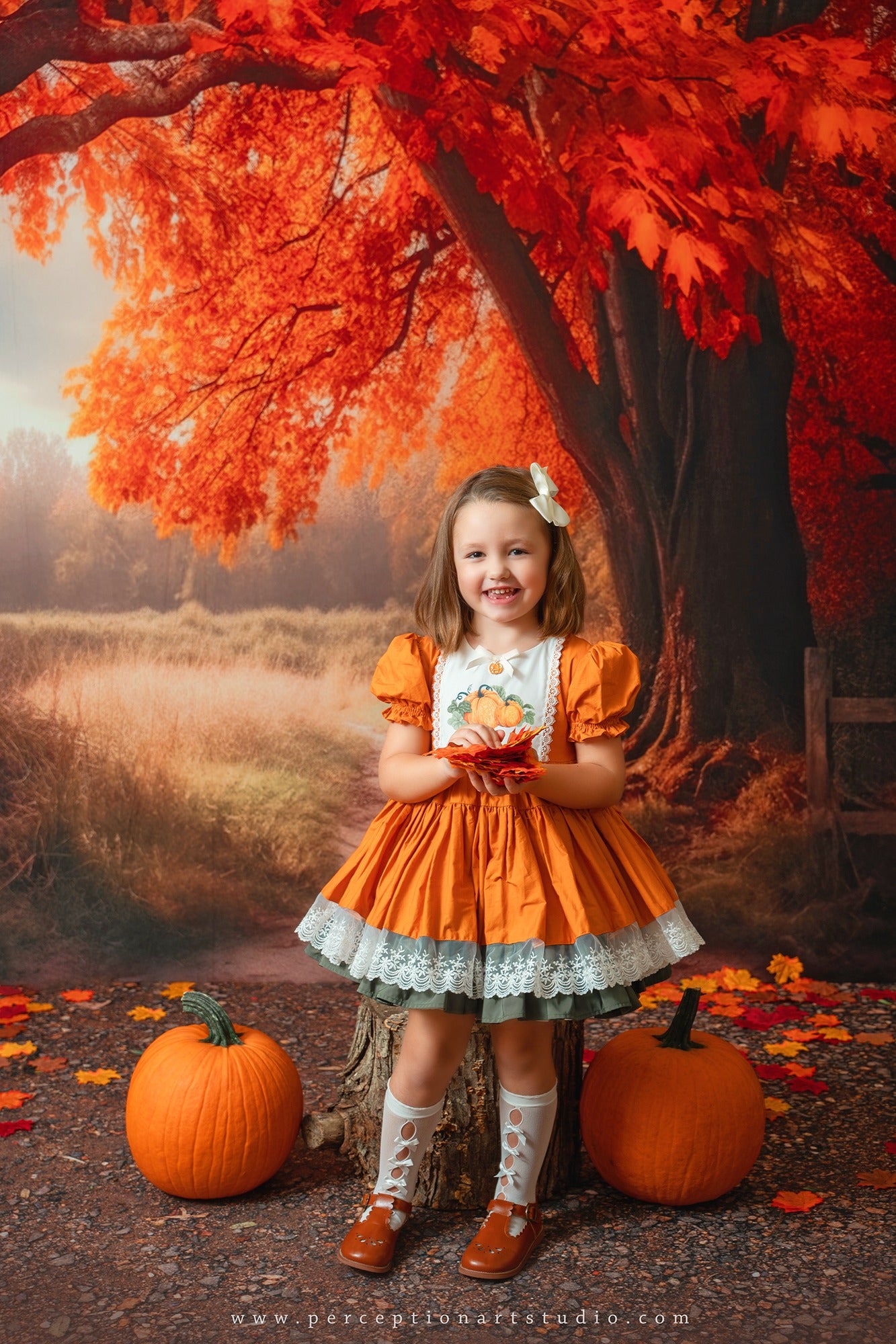 Kate Autumn Tree Backdrop for Photography