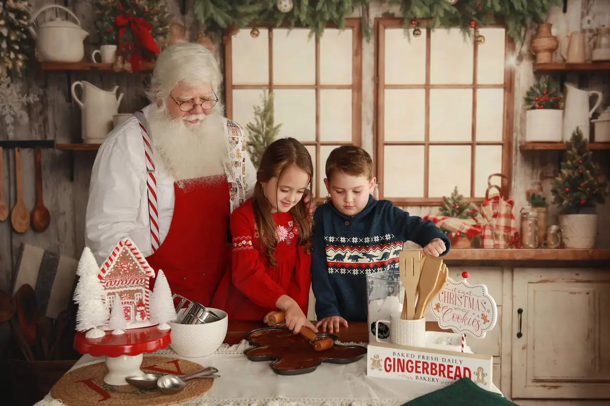 Kate White Christmas Kitchen Fleece Backdrop Designed by Emetselch -UK