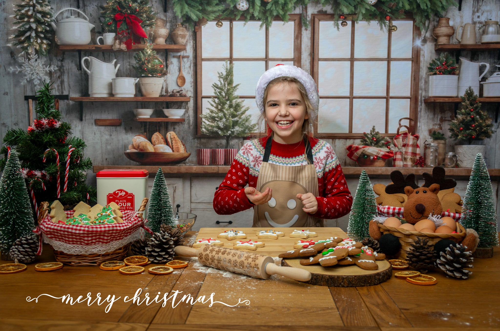 Kate Christmas Kitchen Backdrop Designed by Emetselch -UK