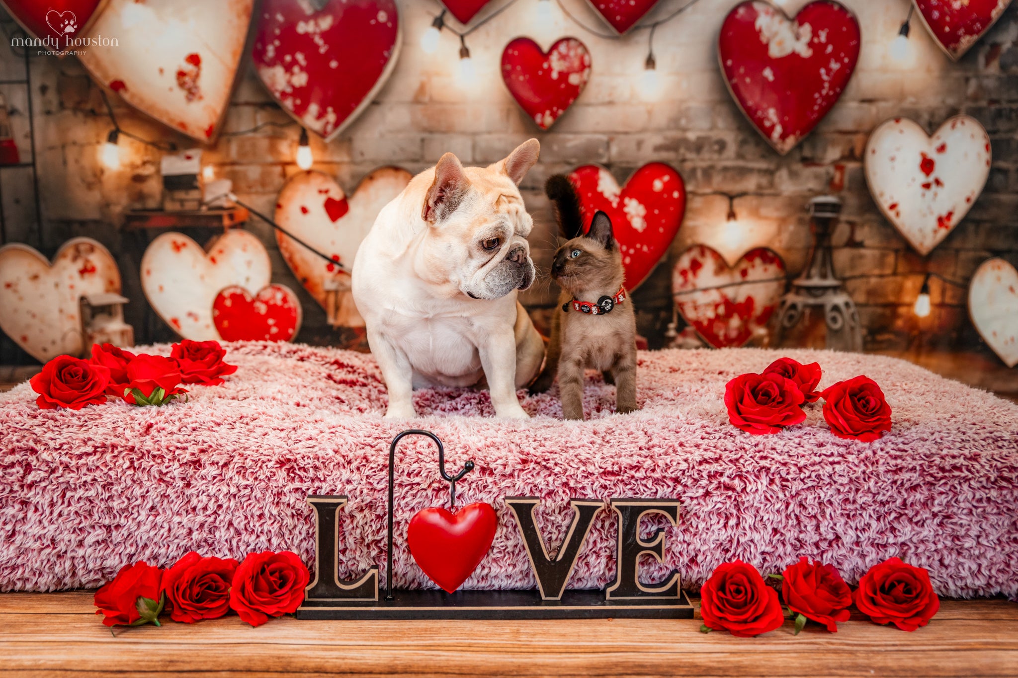 Kate Valentine's Day Retro Lamp Wall Love Backdrop Designed by Emetselch -UK