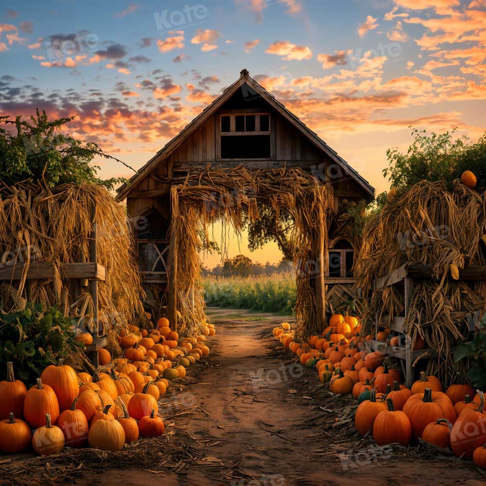 Kate Autumn Pumpkin Farm Backdrop for Photography -UK