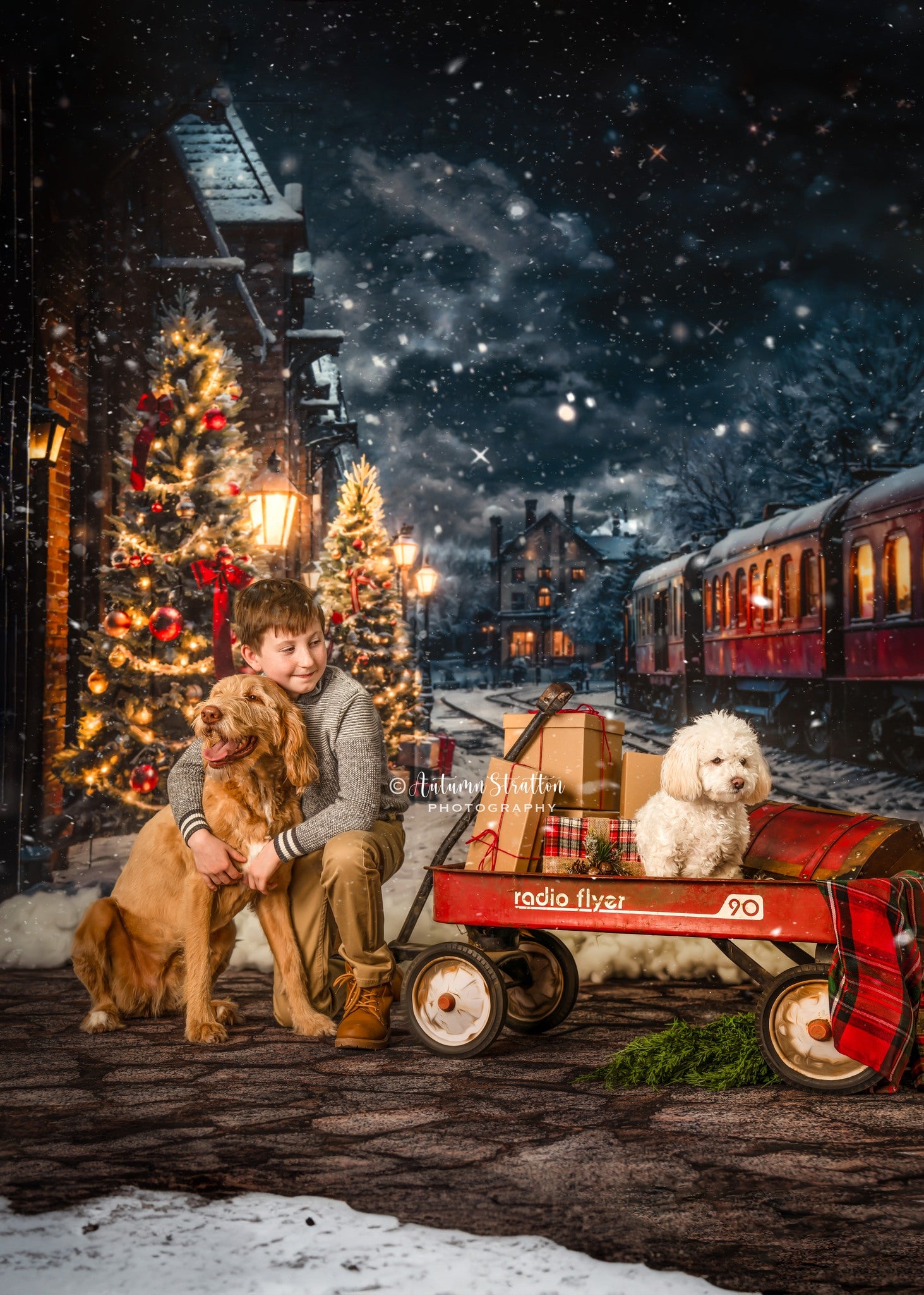 Kate Winter Christmas Tree Train Backdrop Designed by Emetselch -UK