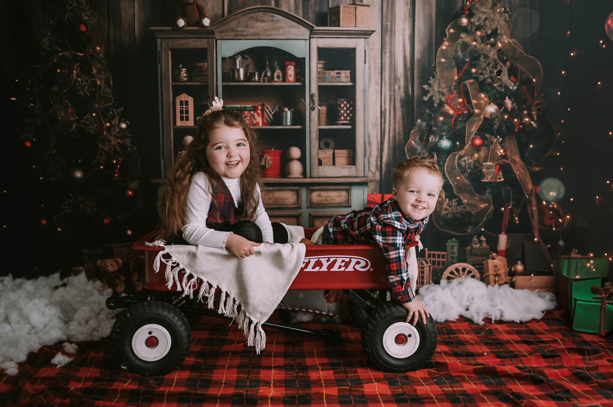 Kate Christmas Tree Bear Bookshelf Backdrop for Photography -UK