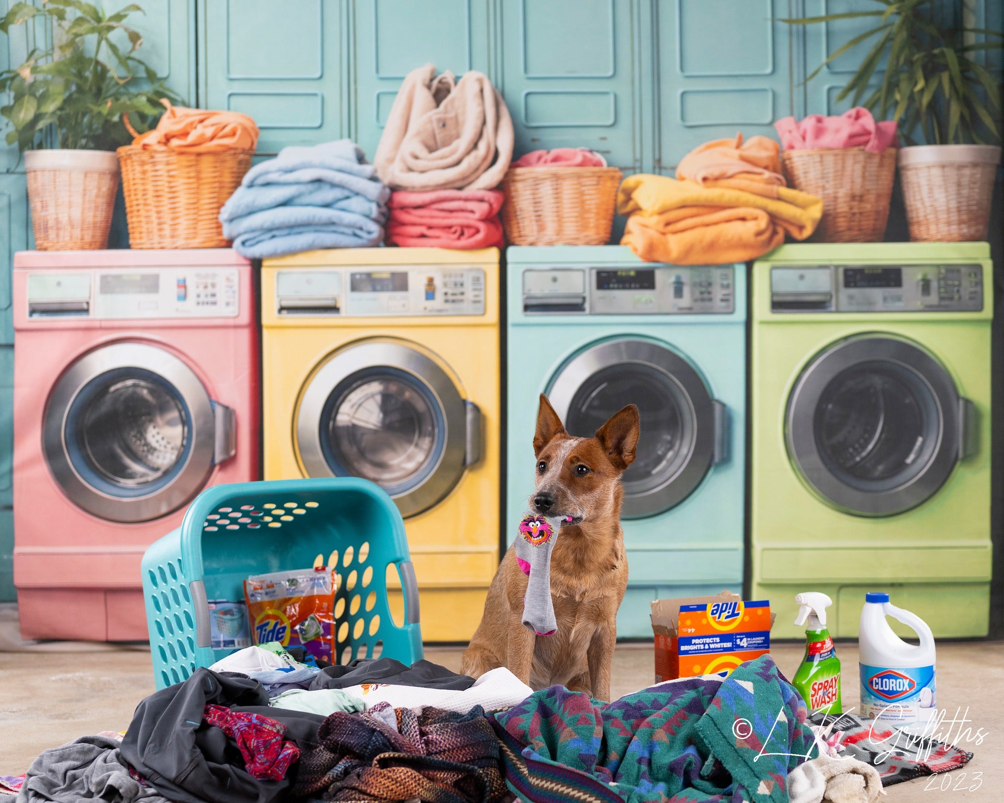 Kate Laundry Day Colorful Washing Machine Backdrop Designed by Chain Photography -UK