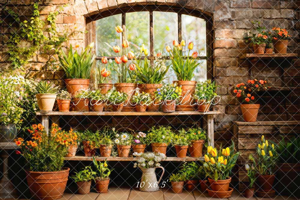 Kate Spring Flower Plant Window Room Backdrop Designed by Emetselch -UK