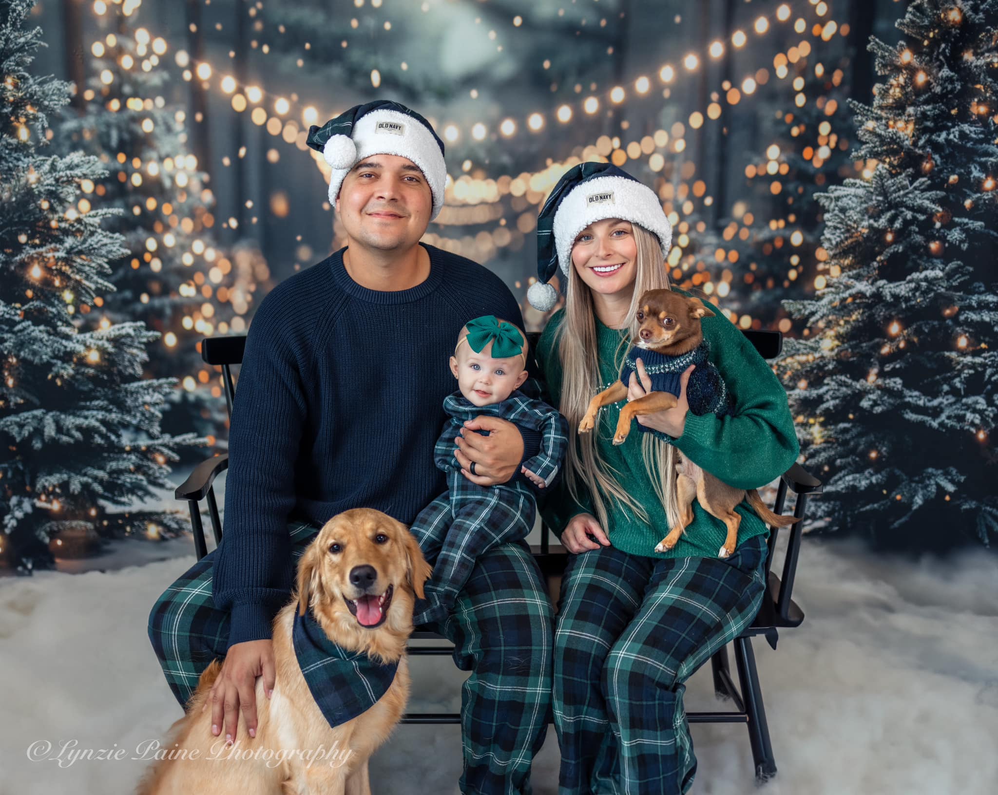 Kate Winter Christmas Forest Snowland Backdrop Designed by Emetselch -UK