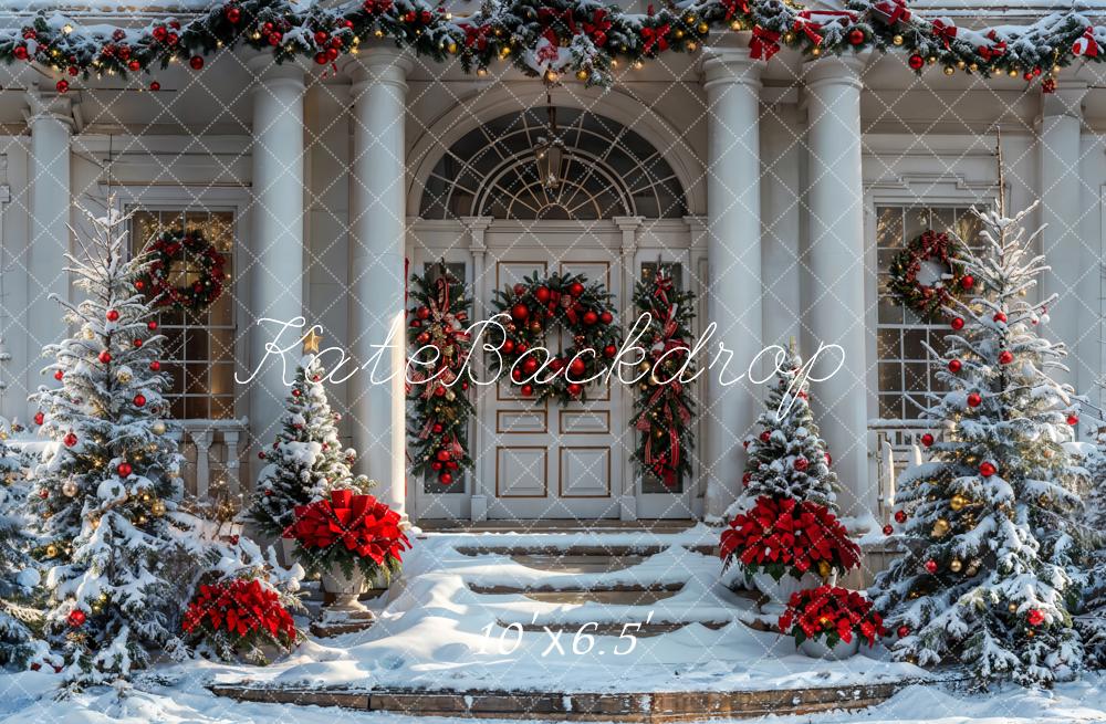 Kate Christmas Winter White Vintage House Backdrop Designed by Emetselch -UK