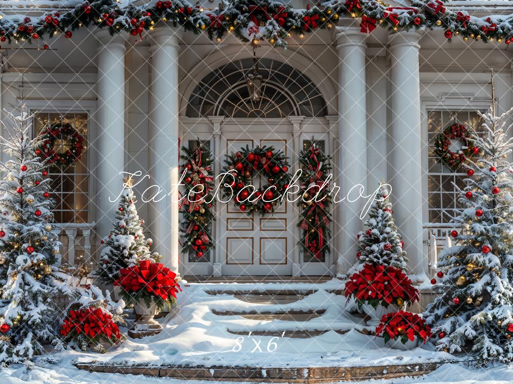 Kate Christmas Winter White Vintage House Backdrop Designed by Emetselch -UK