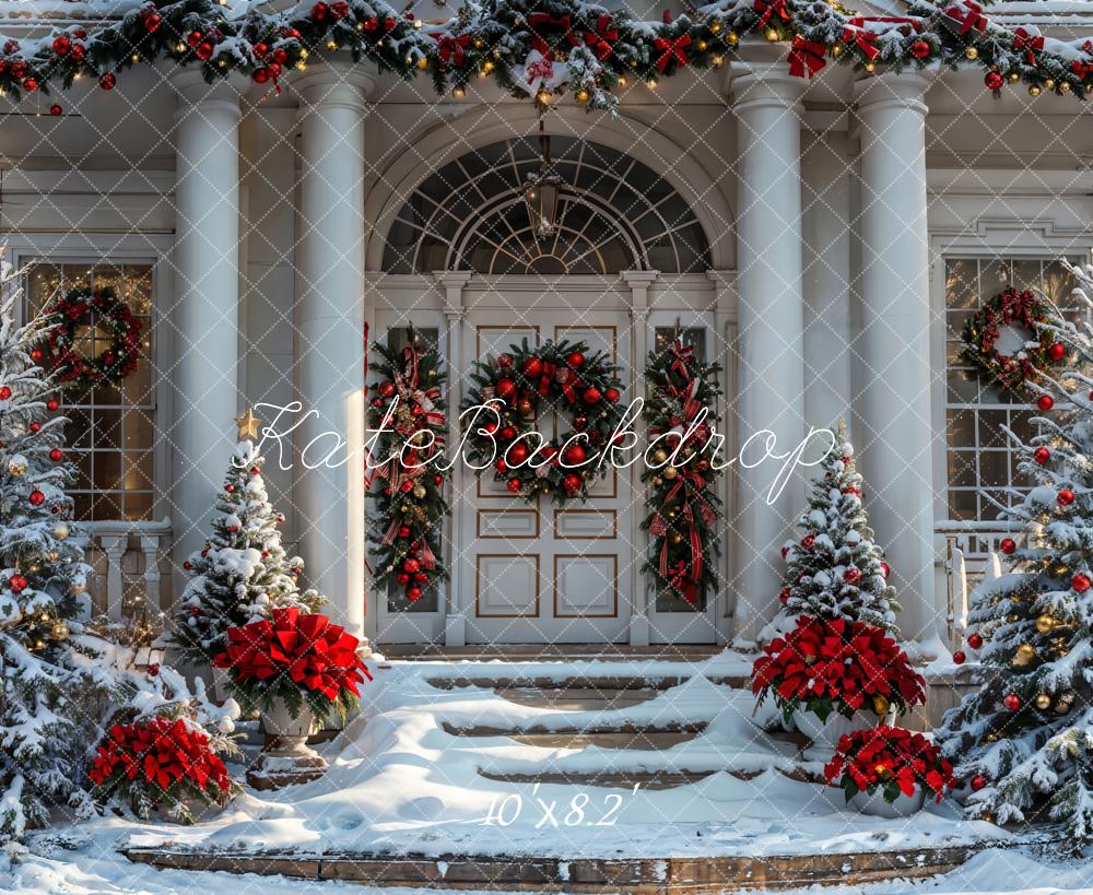 Kate Christmas Winter White Vintage House Backdrop Designed by Emetselch -UK