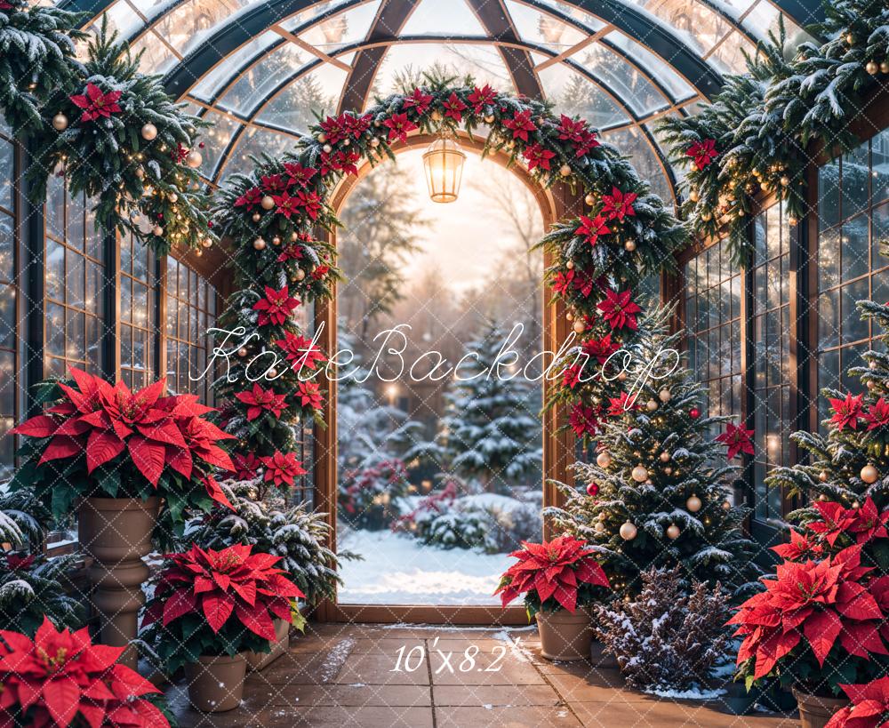 Kate Christmas Glass Greenhouse Plants Backdrop Designed by Emetselch -UK