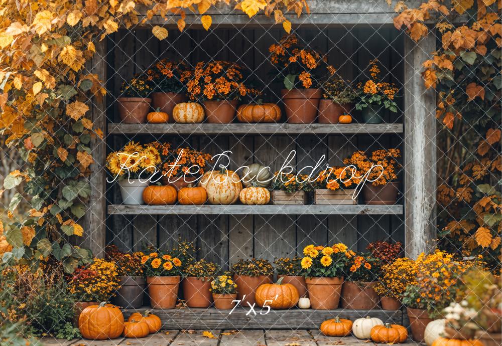 Kate Autumn Pumpkin Shelf Maple Backdrop Designed by Emetselch -UK