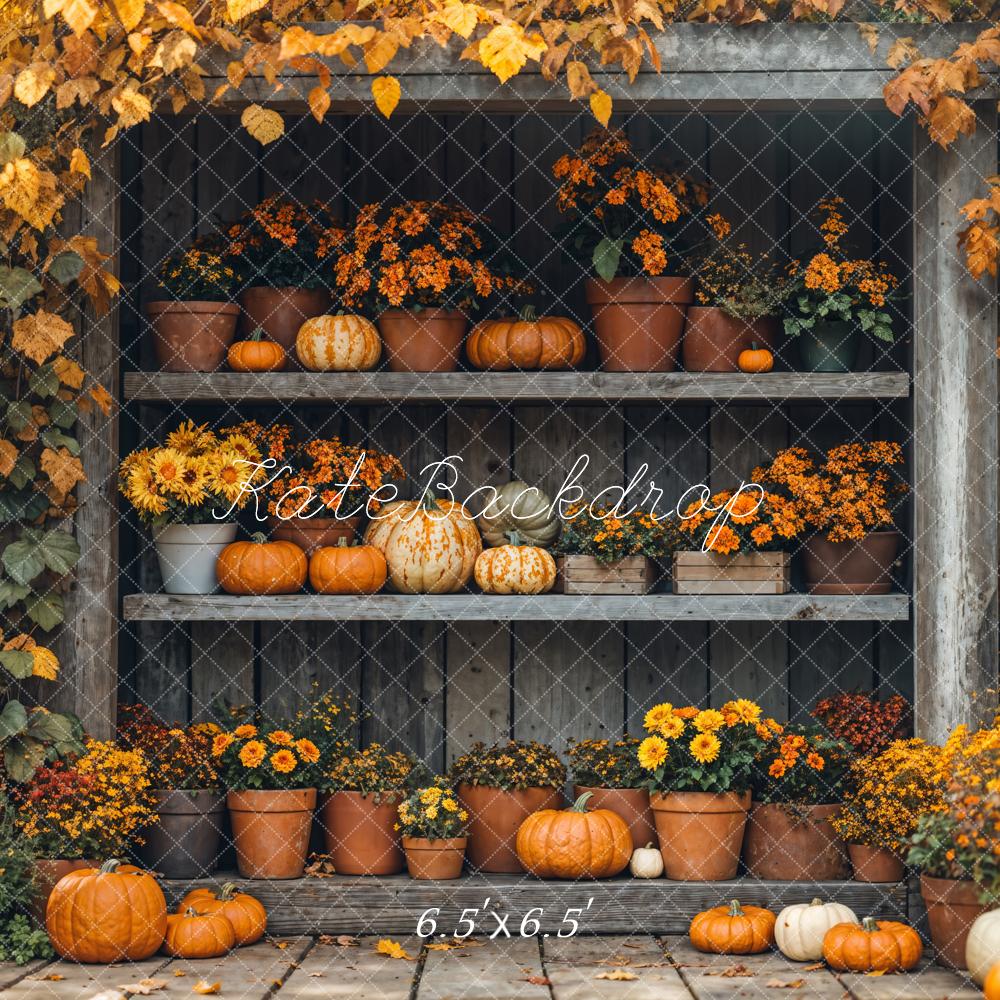 Kate Autumn Pumpkin Shelf Maple Backdrop Designed by Emetselch -UK