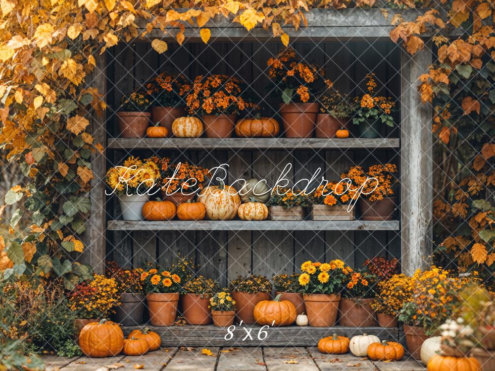 Kate Autumn Pumpkin Shelf Maple Backdrop Designed by Emetselch -UK