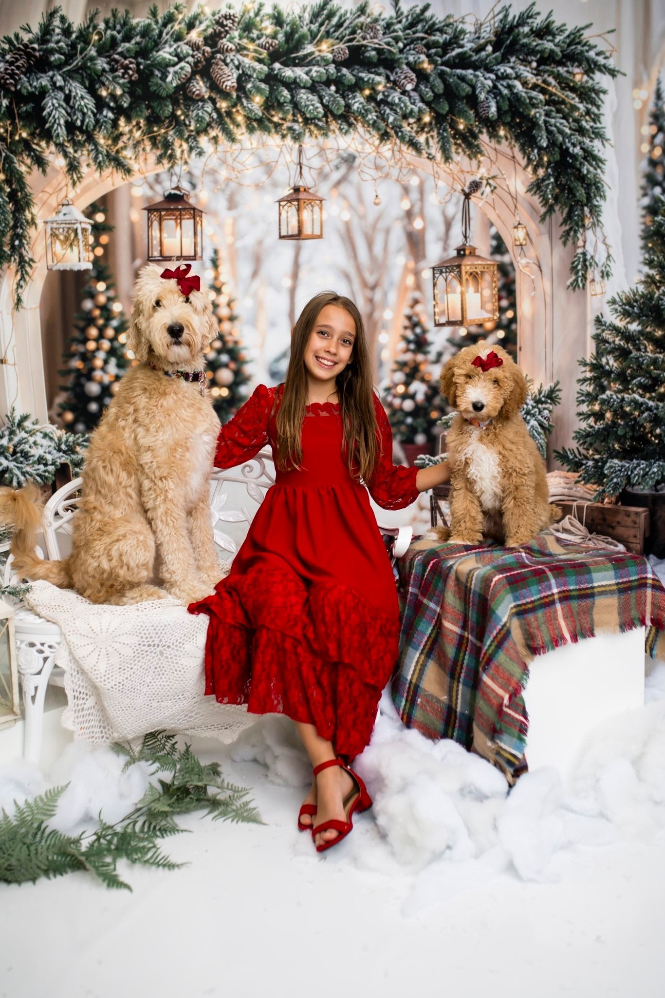 Kate Christmas Arch Garland Snow Trees Backdrop Designed by Emetselch -UK