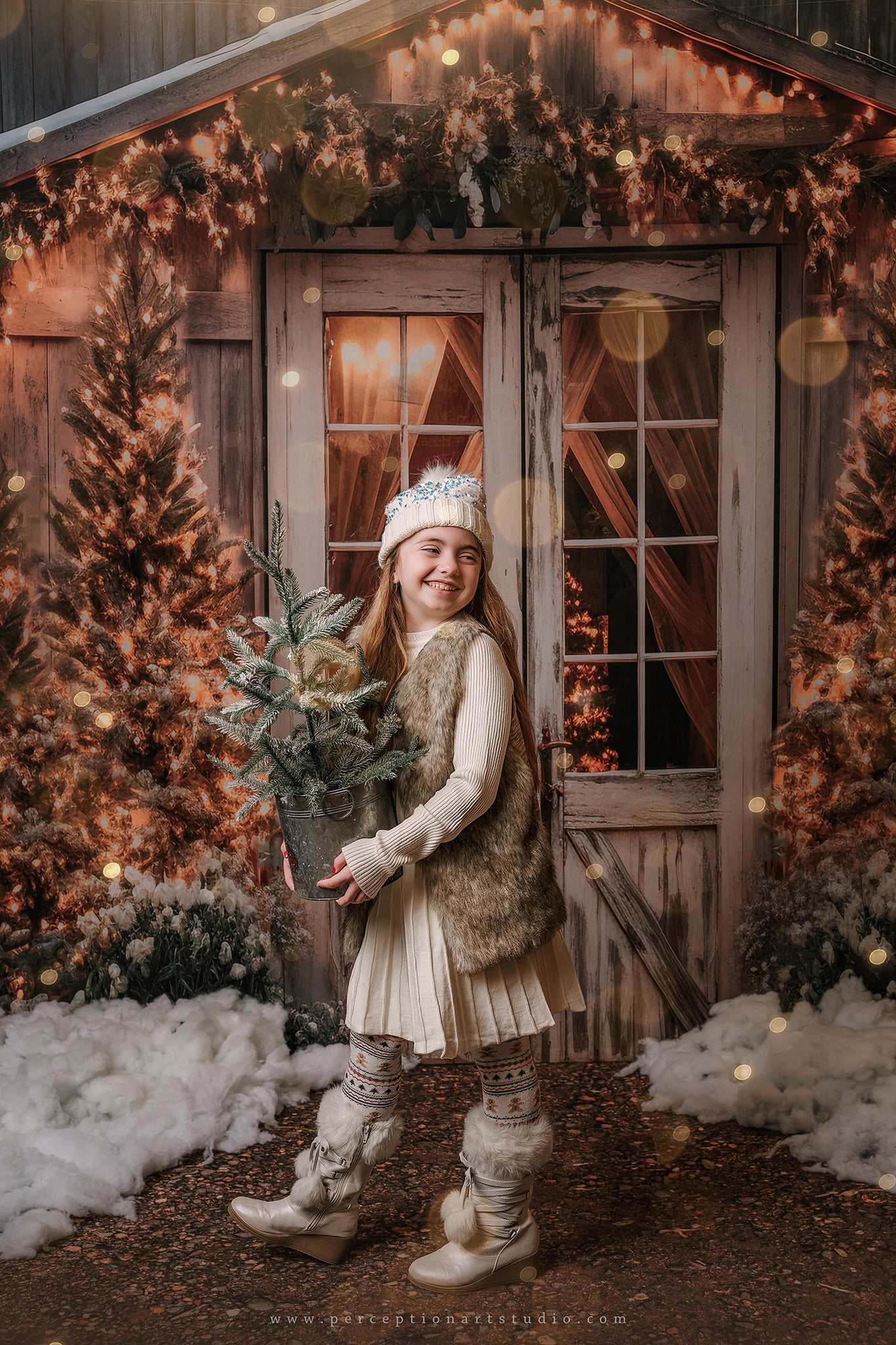 Kate Christmas Barn Backdrop Designed by Emetselch -UK
