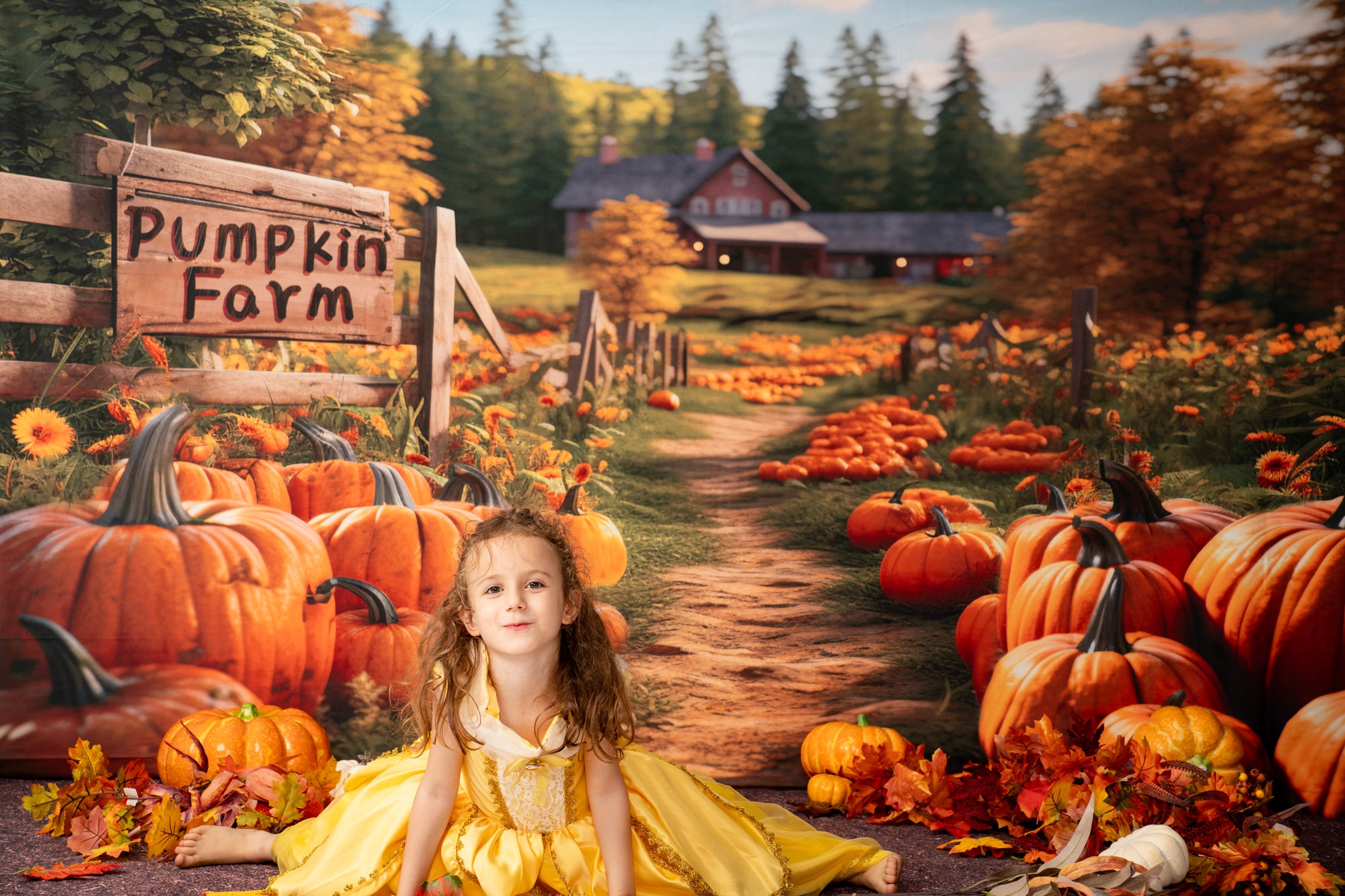 Kate Autumn Pumpkin Farm Backdrop Designed by Emetselch -UK