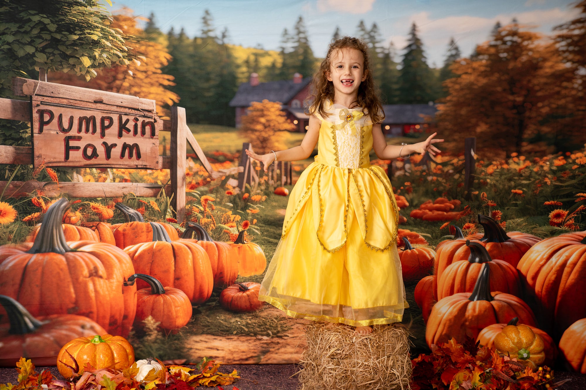 Kate Autumn Pumpkin Farm Backdrop Designed by Emetselch -UK