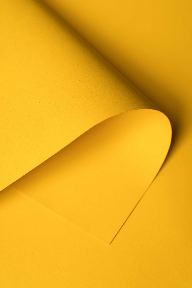 Kate Warm Yellow Seamless Paper Backdrop for Photography -UK