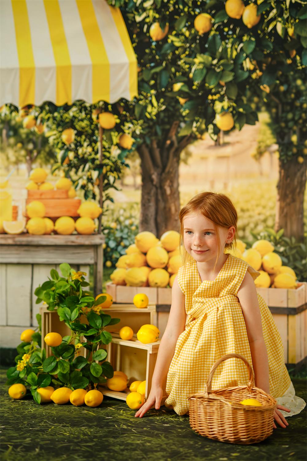 Kate Summer Lemonade Stand Photo Kit -UK