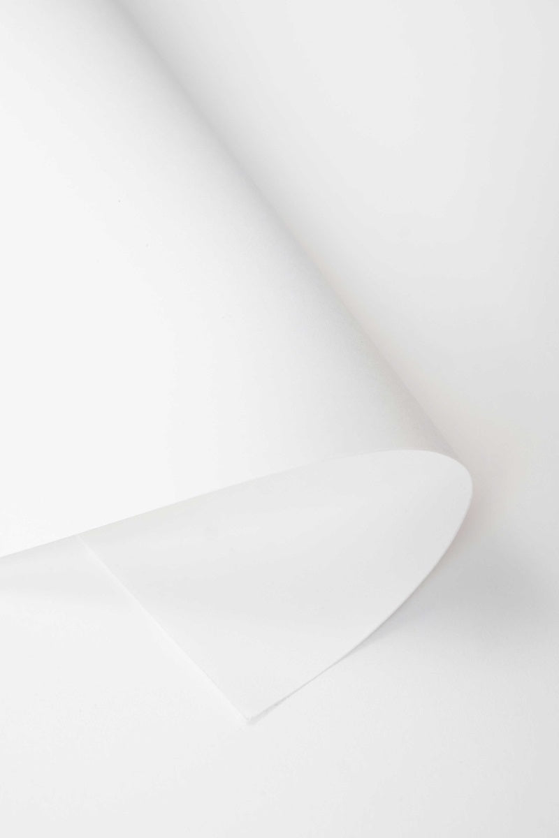 Kate White Seamless Paper Backdrop for Photography -UK