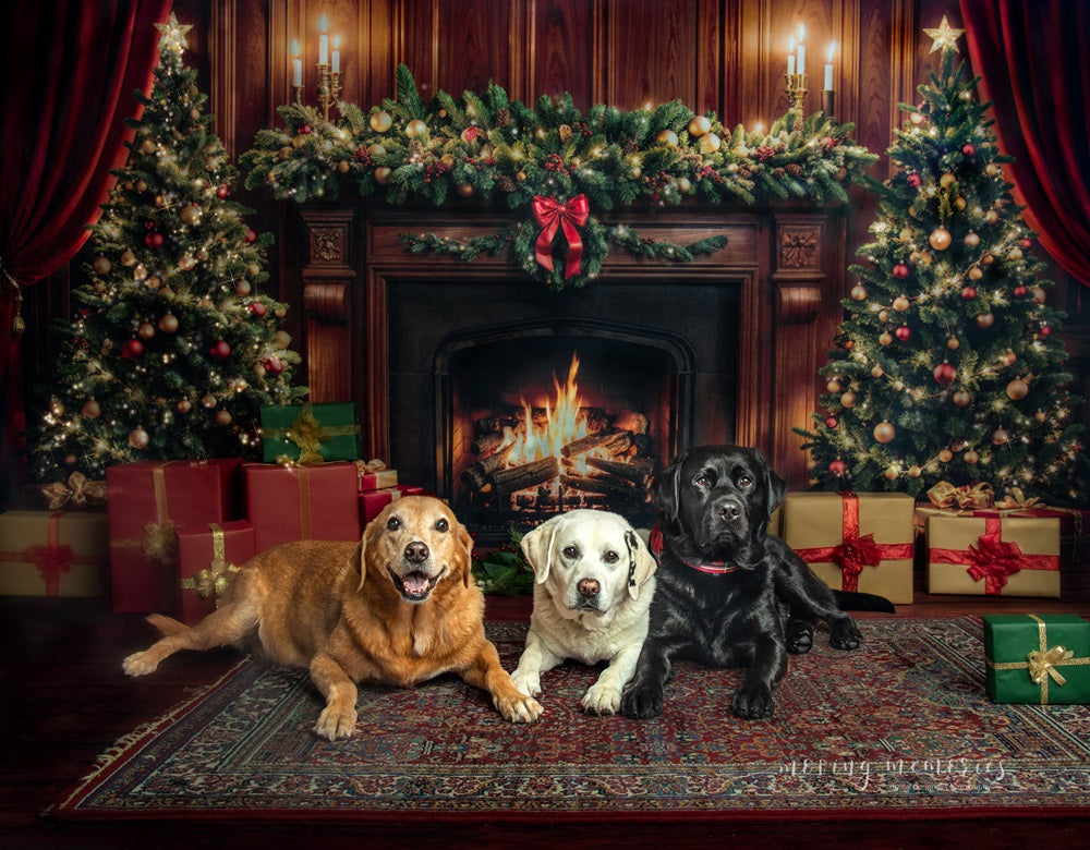 Kate Christmas Fireplace Tree Retro Wall Backdrop+Brown Wood Texture Floor Backdrop -UK